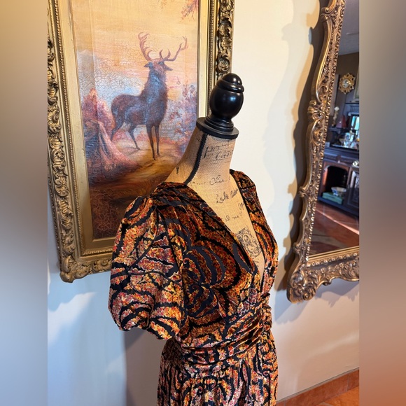 NWT The Katerina Button-front Dress: Velvet Edition - Picture 4 of 16